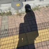 @lnttpbot