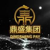 鼎盛集团双向机器人