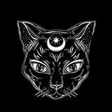Gata Gato HFW