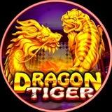 Dragon Tiger App Bot