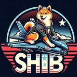 Shib Jet Pay Robot