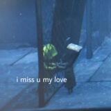 kai's love taker