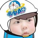 仔仔双向机器人