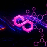 Tomo Polygon || Airdrop