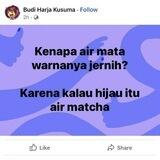 Ara's