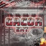 Asisten Gacor