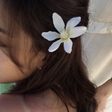 cacaaa