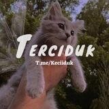 Terciduk