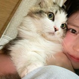 sha :3