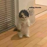 noya assist