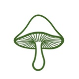 见手青公益服账号管理