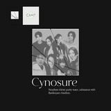 Cynosure