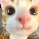 isaac