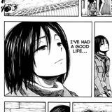 mikasa’s jb 🐈