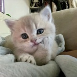 cath <3