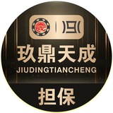 玖鼎天成担保机器人
