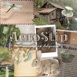 Aerostip Center