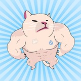 MuscleCatAirdrop