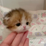 mmmoooiw