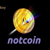 NOT COIN