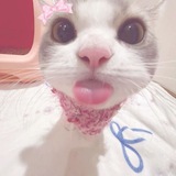 🐈 “사랑. xd