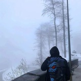 爱拼才会赢