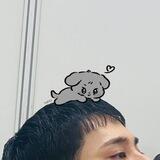mingyu jajan