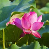 天民俗馆