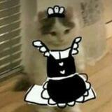 Lyreia's maid, Mako.