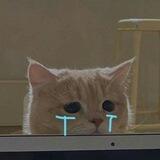 Haru.