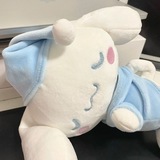 Karin’s helper.