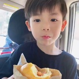 九门免费VPN反馈机器人