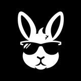 Rabbit 🐰