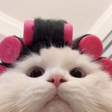 rawr