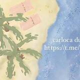Carloca bot