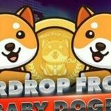 BABYDOGE INT BOT