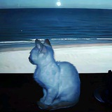 '✷