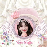 Toko Erlin