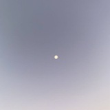 sun-hearted. ⅋