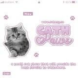 ˚｡ 🐈 ⩇⩇ cathpaws! 🎀𐐪