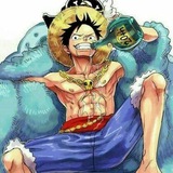 luffy.