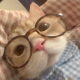 yureeeelbot