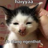 LEJEENNNNN.