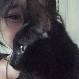 meow's asist