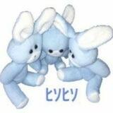 rabbit 🐇