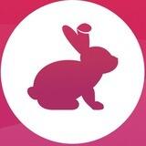 Bunny Airdrop DT