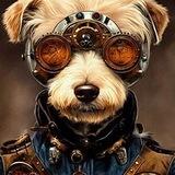 小明的私聊机器人