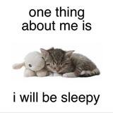 Kitty's