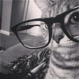 Hailey