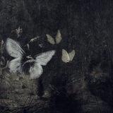 Butterfly's Dad